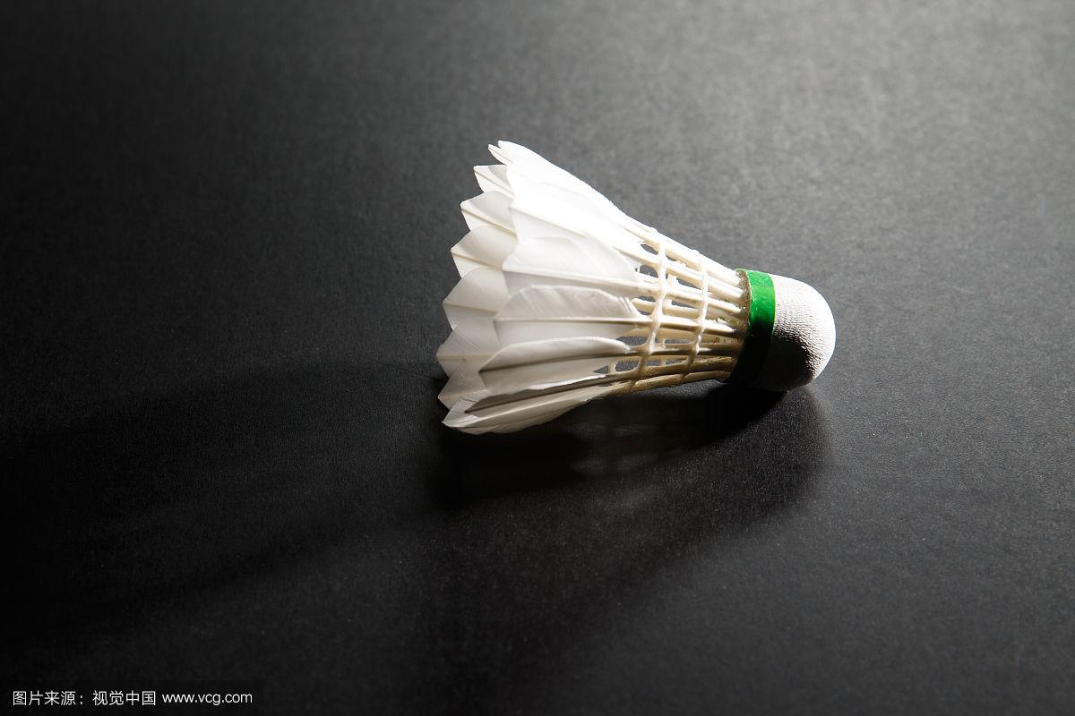 关键作用的 关键作用的